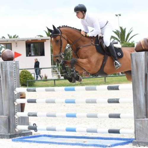 Conquistati 3 bronzi ai Campionati regionali.