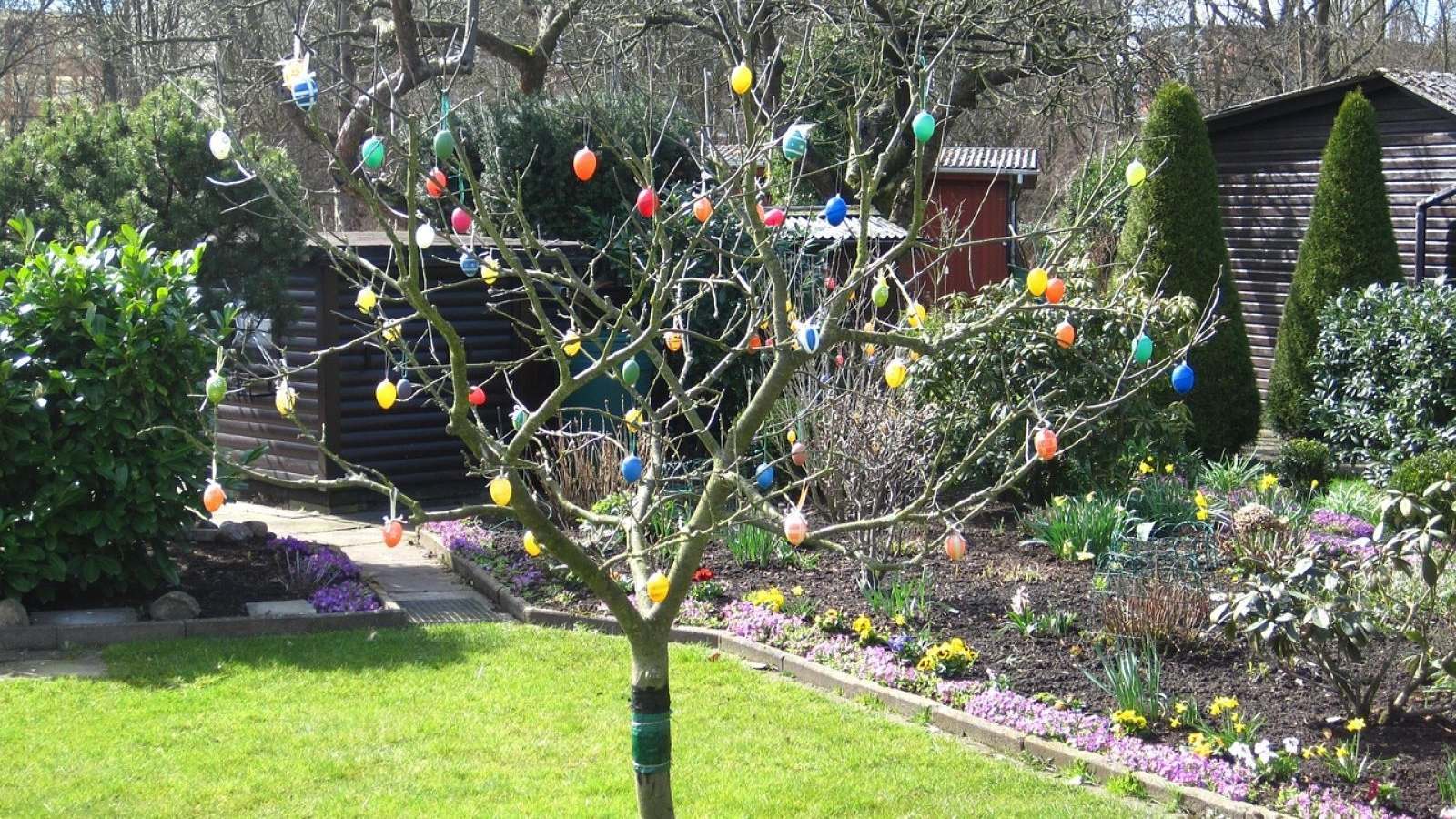 L'ALBERO DI PASQUA:                 ALBERO DELLA VITA