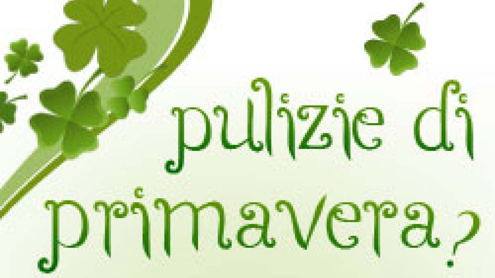 COME ORGANIZZARE LE PULIZIE DI PRIMAVERA, STANZA PER STANZA